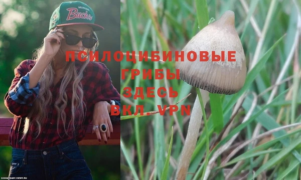 прущая мука Приозерск