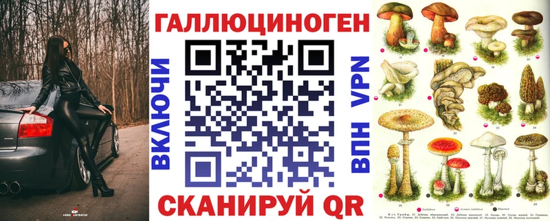 Купить где  Пятигорск  Галлюциногенные грибы Psilocybe 